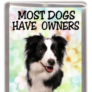 Border Collie Dog Fridge Magnet - Most Dogs Have Owners Border Collies Have Staff. Great Gift for any Dog Lover