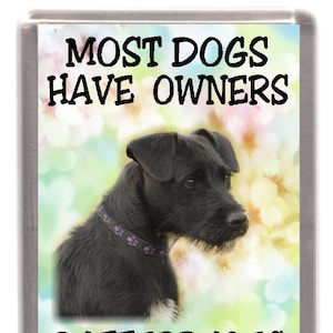 Aimant pour réfrigérateur pour chien Patterdale Terrier - La plupart des chiens ont des propriétaires Les Patterdales ont du personnel. Cadeau idéal pour les amoureux des chiens