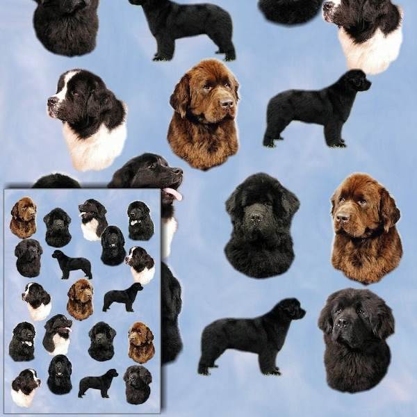 Newfoundland Dog Gift Wrapping Paper with matching Gift Card.  Make your present extra special