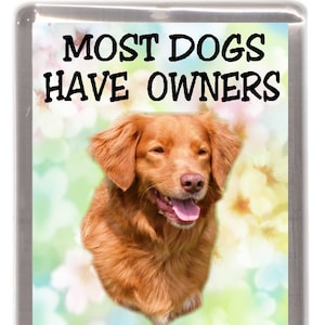 Nova Scotia Duck Tolling Retriever Dog Fridge Magnet - Most Dogs Have Owners Tollers Have Staff. Great Gift for any Dog Lover