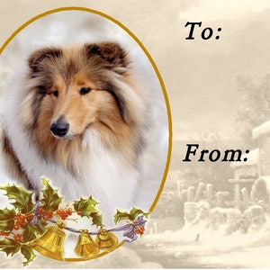 Etichette regalo di Natale per cani Rough Collie (zibellino, blu merle, tricolore), autoadesive staccabili, 2 fogli da 21 etichette, 42 etichette in totale