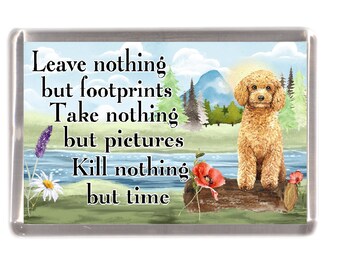 Schnoodle Owner Standard Poodle Puppy Magnets Creepy Cute Pet Owner Gifts Antique Dog Art Peculiar Children 30th Victorian Edwardian