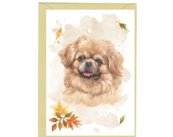 tibetan spaniel gifts