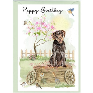 German Wire Haired Pointer Dog &quot;Happy Birthday&quot; Card (6&quot;x 4&quot;) with Envelope. Blank inside for your own message. Perfect for any dog lover