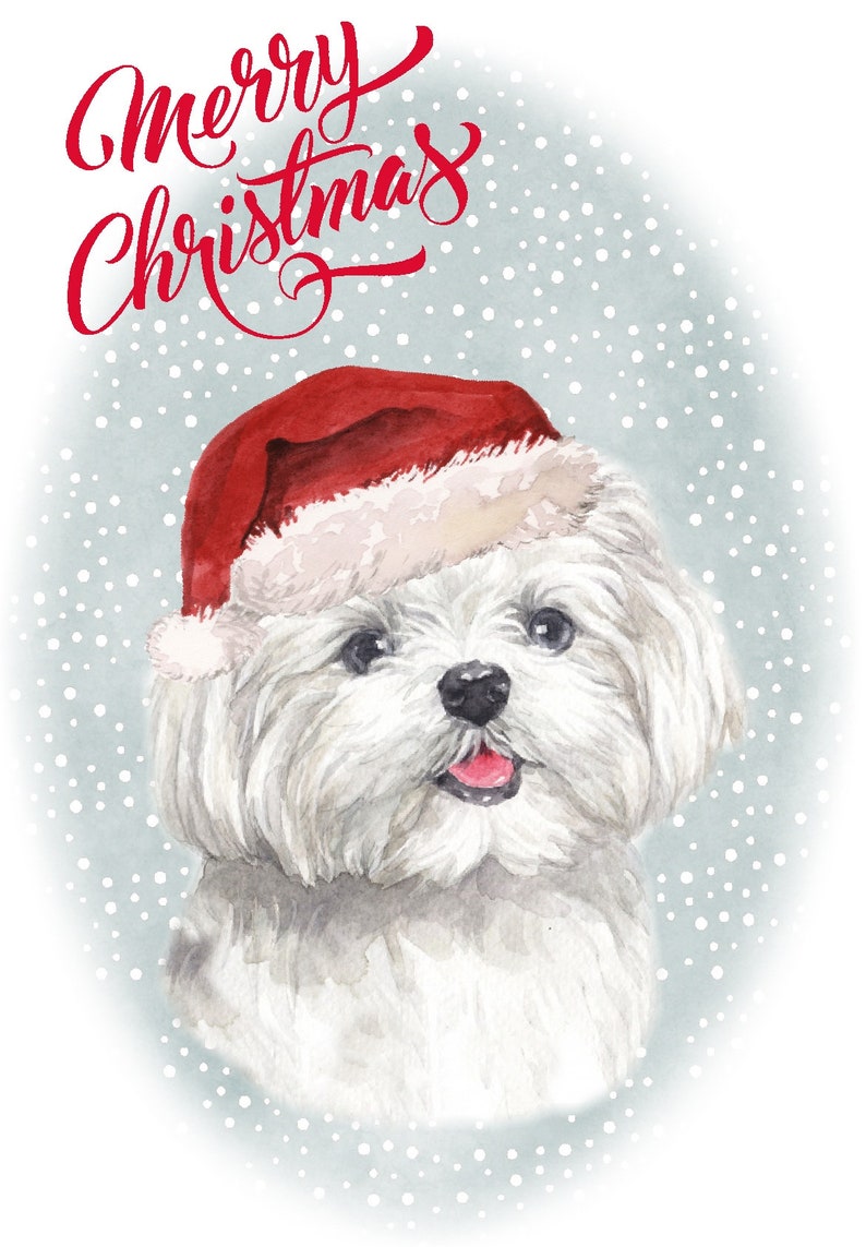 Maltese Christmas Cards 