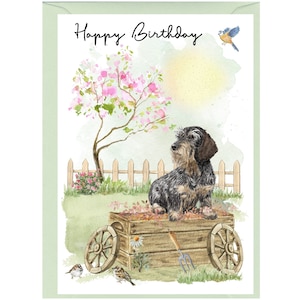 Biglietto "Happy Birthday" per cane bassotto a pelo duro (6" x 4") con busta - Interno vuoto per il tuo messaggio. Perfetto per qualsiasi amante dei cani.