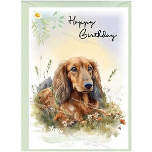 Dackel Langhaarhund ""Happy Birthday"" Karte (15,5 x 10cm) mit Umschlag - Leere Innenseite für Ihre eigene Nachricht." Perfekt für jeden Hundefreund.