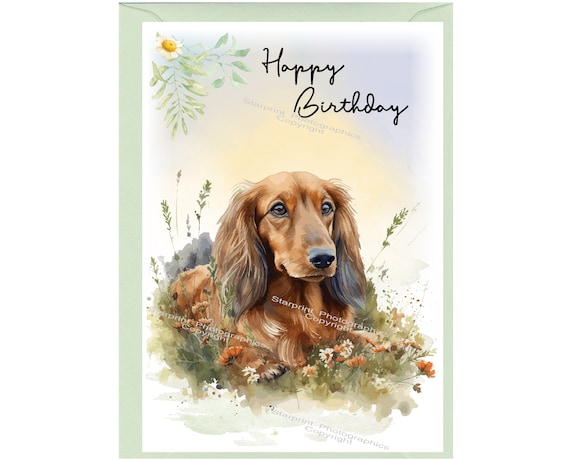 Biglietto Compleanno Divertente Con Cane Bassotto E Salsiccia, Regalo