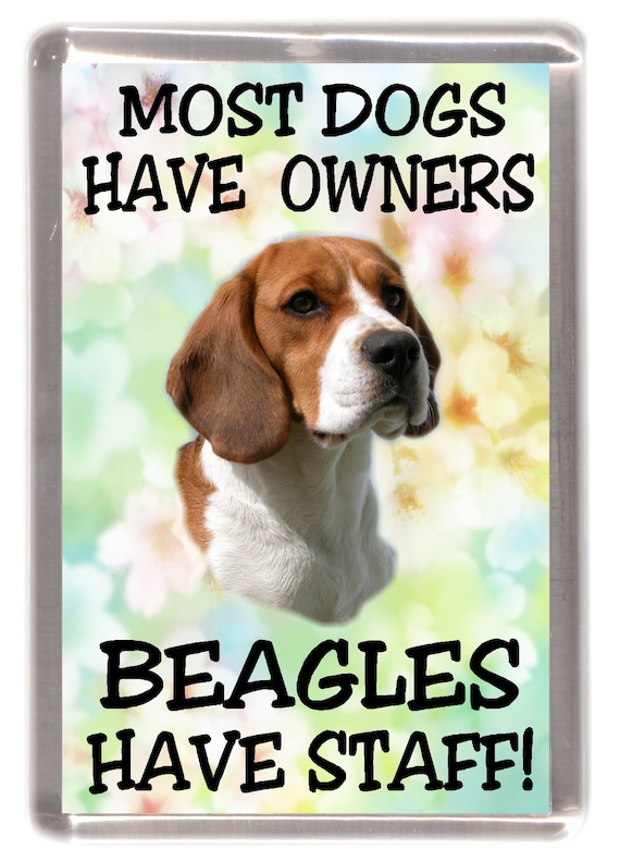 Beagle Tracking Dog Names Beagle Dog Fridge Magnet Most Dogs Have