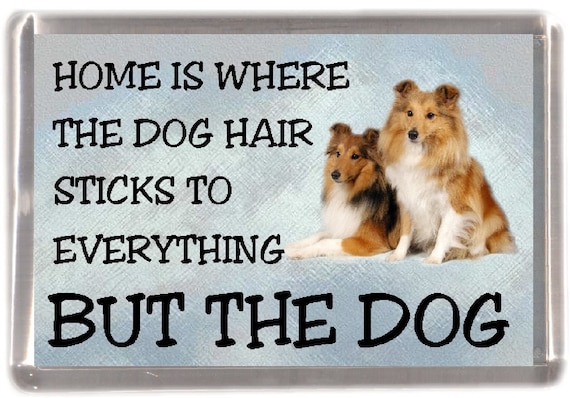 Shetland Sheepdog//Sheltie Fridge Magnet /"Home is Where/" Design No 4 by Starprint