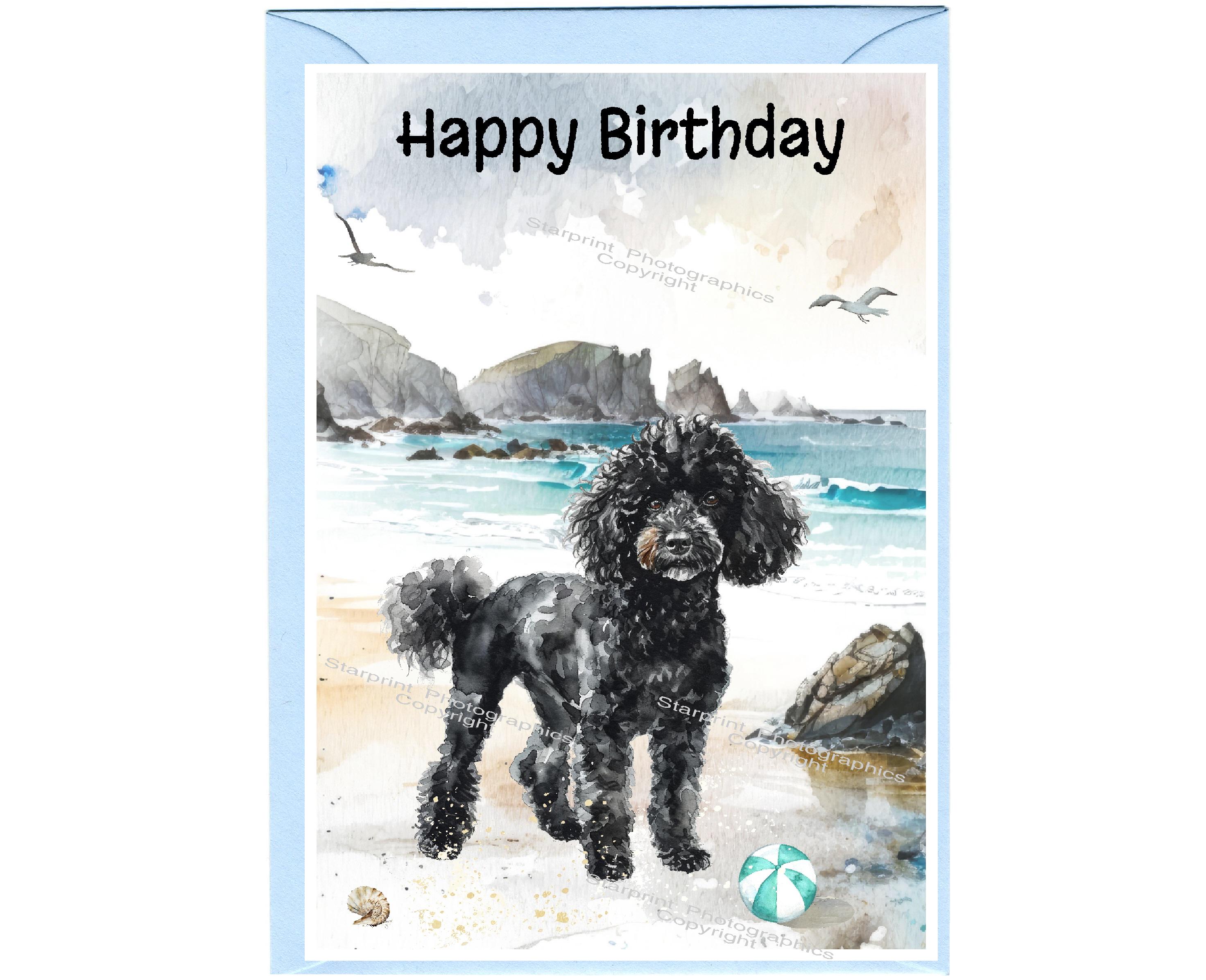 Old English Co. - Biglietto Di Compleanno Divertente Con Gatto, Per