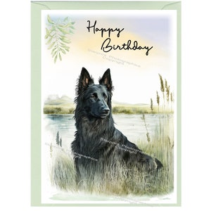 Tarjeta "Feliz cumpleaños" del perro pastor belga Groenendael (6" x 4") con sobre. Espacio en blanco dentro para tu propio mensaje. Perfecto para cualquier amante de los perros.