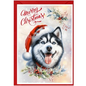 Carte de Noël de chien husky sibérien (6 x 4 po.) vierge à l'intérieur - avec enveloppe.  Article parfait pour tous les amoureux des chiens