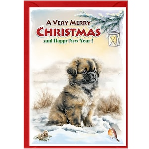Carte de Noël pour chien épagneul tibétain (6 x 4 po.) vierge à l'intérieur - avec enveloppe.  Article parfait pour tous les amoureux des chiens