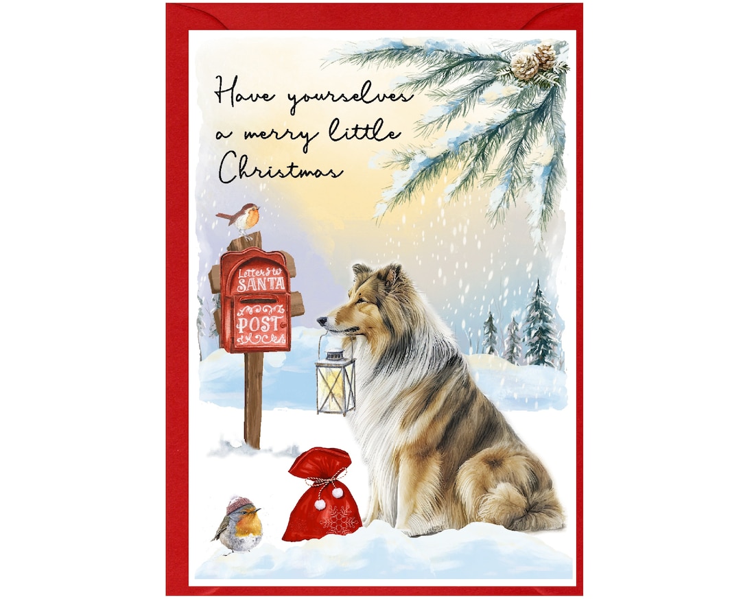 Rough Collie Dog Christmas Card (6" X 4") Blank Inside - With Envelope ...