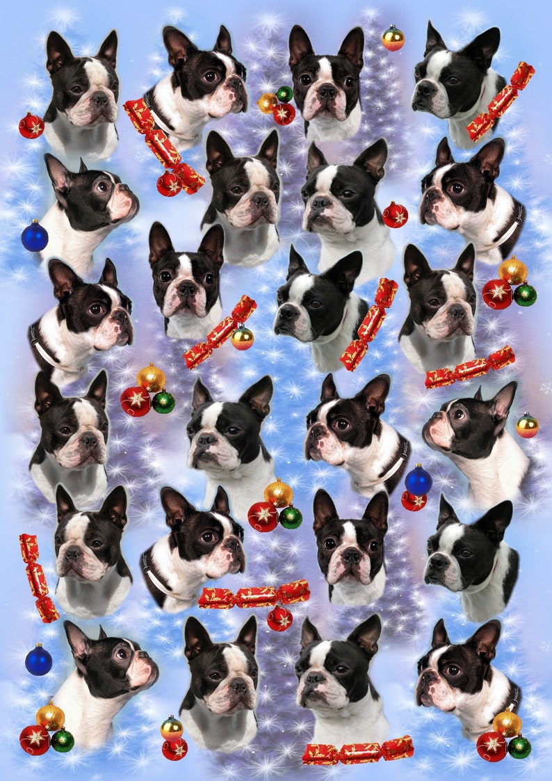 Boston Terrier Christmas Wrapping Paper 