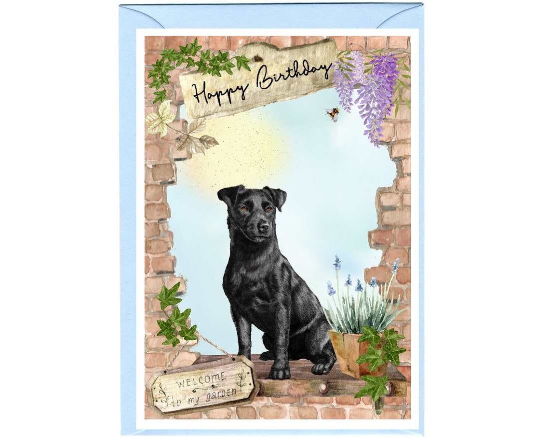 Der Patterdale Terrier Im Rassen-Porträt (Mit Bildern