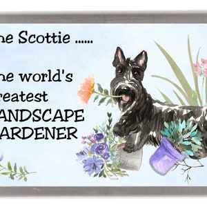 Scottish Terrier / Scottie Dog Fridge Magnet - The world's greatest LANDSCAPE GARDENER.  Great Gift for any Dog Lover