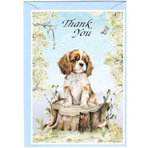 Cavalier King Charles-spaniël-Blenheim Puppy Dog "Bedankt"-kaart (6" x 4") met envelop - blanco binnenkant voor je eigen bericht.