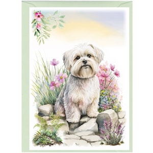 Biglietto vuoto/notelet personalizzato per cane maltese (6" x 4") con busta. Se si preferisce, la scheda può essere lasciata vuota