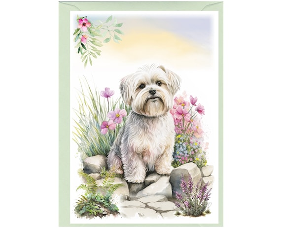 Personnage De Dessin Animé Chien Lhassa Apso Avec Bulle De Parole