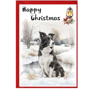 Carte de Noël pour chien border collie (6 x 4 po.) vierge à l'intérieur - avec enveloppe. Article parfait pour tous les amoureux des chiens