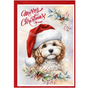 May include: A white and brown dog wearing a red Santa hat with a white trim. The dog is surrounded by green and white holly and red berries. The text "Merry Christmas" is written in cursive above the dog.