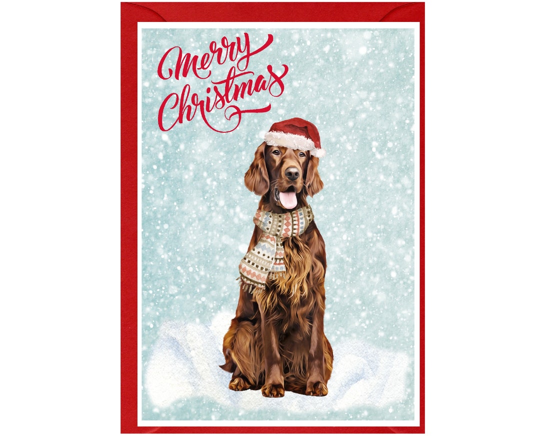 Tarjeta navideña de perro setter irlandés rojo (15 x 10 cm). Interior en  blanco y con sobre. Ideal para cualquier amante de los perros. - Etsy México, image size:1080x873
