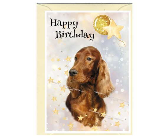 Artery8 Grußkarte Für Hundeliebhaber – Red Setter Design, Blanko, 17,5 X 12,5 Cm, Für Geburtstag, Dank Oder Glückwünsche
