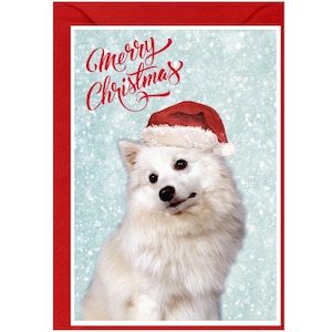 Carte de Noël Spitz japonais (6 x 4 po.) vierge à l'intérieur - avec enveloppe.  Article parfait pour tous les amoureux des chiens