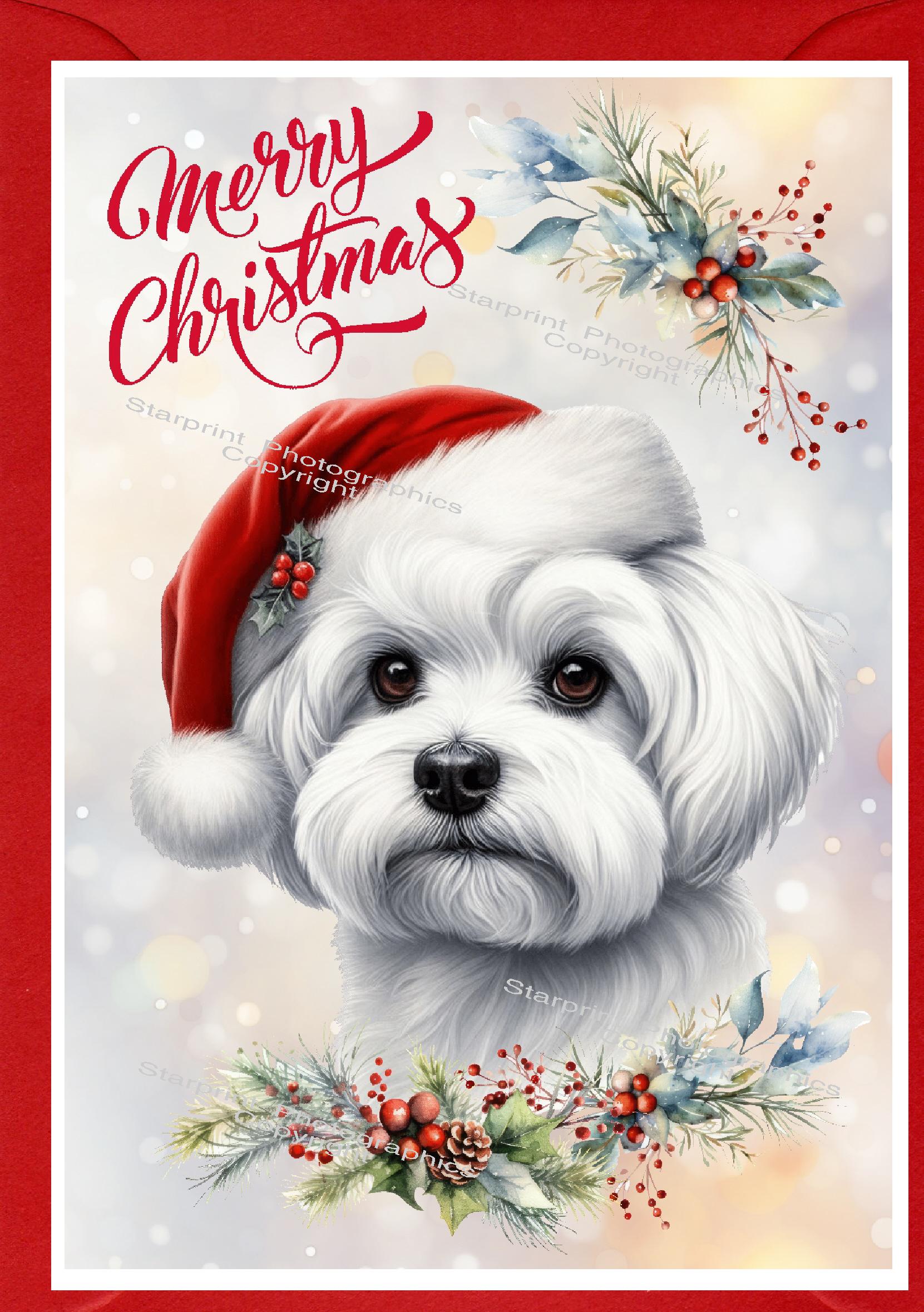 Happy Holidays GCD58430 Lot de 10 cartes de vœux de Noël Shih Tzus avec maison de chien