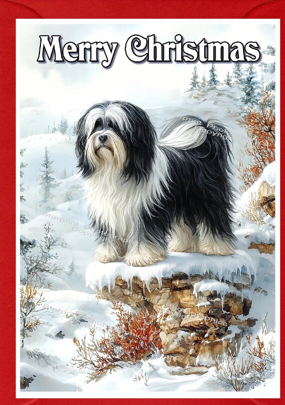 Tibetan Spaniel Dog Christmas Card (6" X 4") Blank Inside - With Envelope. Perfect Item For Any Dog Lover - View #13
