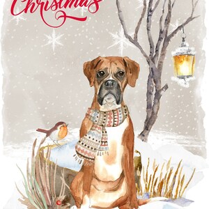 Boxer Dog Christmas Card (6" X 4") Blank Inside - With Envelope ...