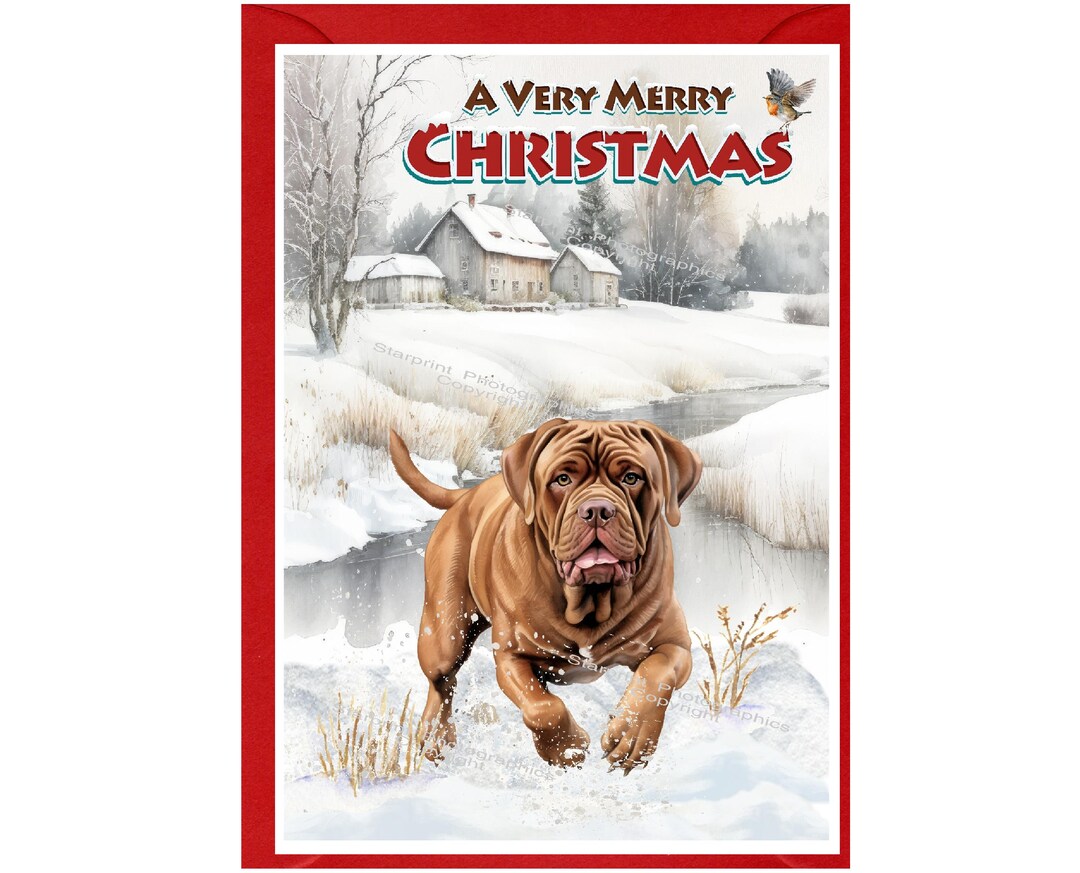 Dogue De Bordeaux Dog Christmas Card (6" X 4") Blank Inside - With ...