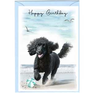 Tarjeta de feliz cumpleaños para perro caniche negro (6" x 4") con sobre. Interior en blanco para escribir tu propio mensaje. Perfecta para cualquier amante de los perros