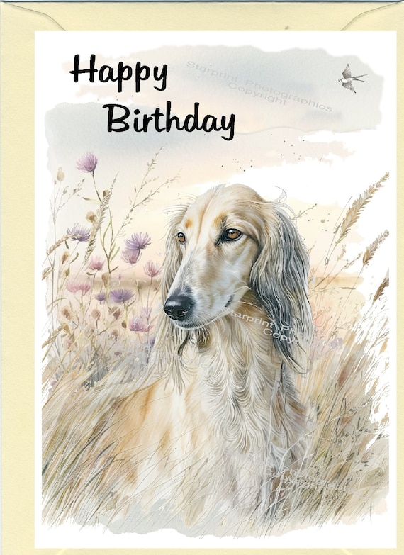 Carte « Joyeux anniversaire » chien Saluki (6 x 10 cm) avec