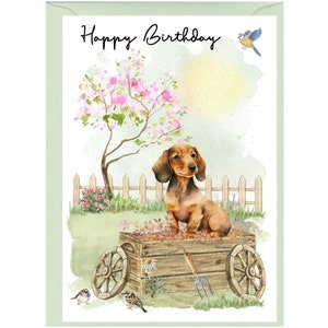 "Dackel Glatthaar ""Happy Birthday"" Karte (15,5 x 10 cm) mit Umschlag - innen leer für Ihre eigene Nachricht." Perfekt für jeden Hundeliebhaber.