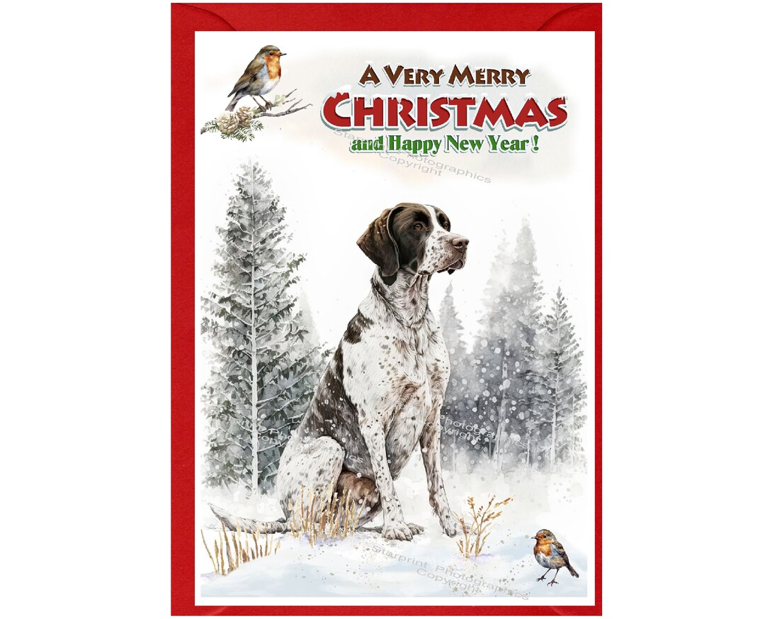 Pointer Dog Christmas Card (6" X 4") Blank Inside - With Envelope ...