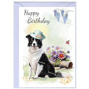 Border Collie Dog &quot;Happy Birthday&quot; Card (6&quot; x 4&quot;) with Envelope - Blank inside for your own message. Heading can be changed if requested.