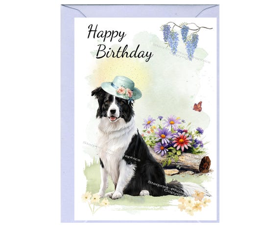 BIGLIETTO D'AUGURI COMPLEANNO | Guida Book Store