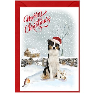 Border Collie Dog (driekleurig) kerstkaart (6" x 4") blanco binnenkant - met envelop. Perfect item voor elke hondenliefhebber