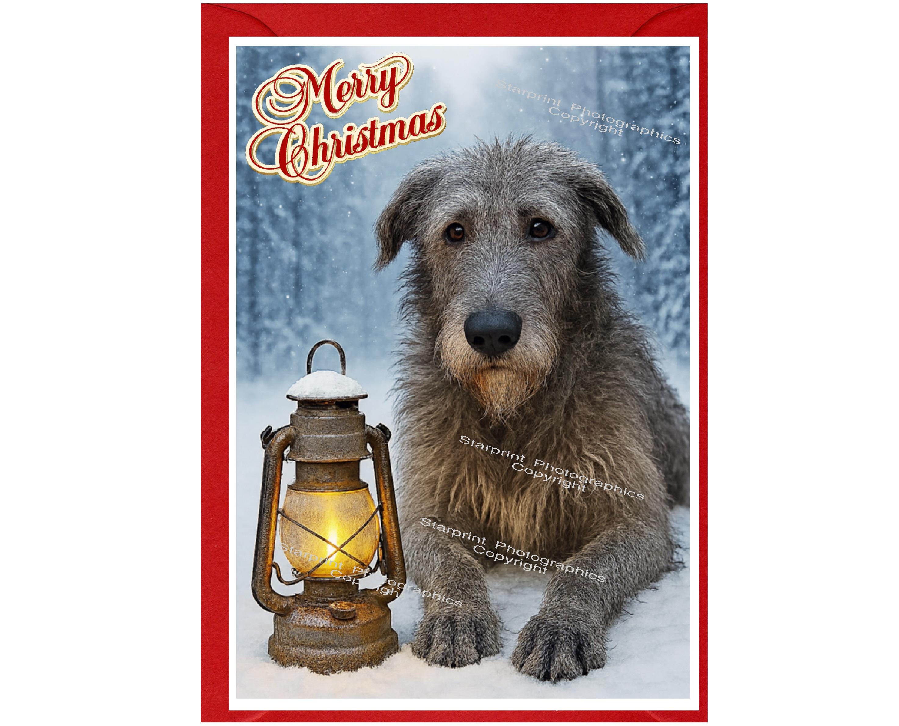 Irish Wolfhound Dog Christmas Card (6" X 4") Blank Inside - With ...