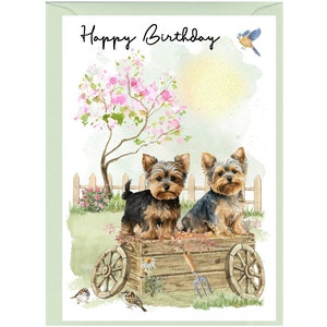 Karte „Alles Gute zum Geburtstag“ mit Yorkshire-Terrier-Hund (15,2 x 10,2 cm) mit Umschlag – innen unbeschriftet für Ihre eigene Nachricht. Perfekt für jeden Hundeliebhaber.
