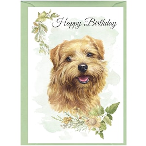 Norfolk Terrier Hund ""Happy Birthday"" Karte (15,5 x 10,5 cm) mit Umschlag - innen leer für Ihre eigene Nachricht." Perfekt für jeden Hundefreund