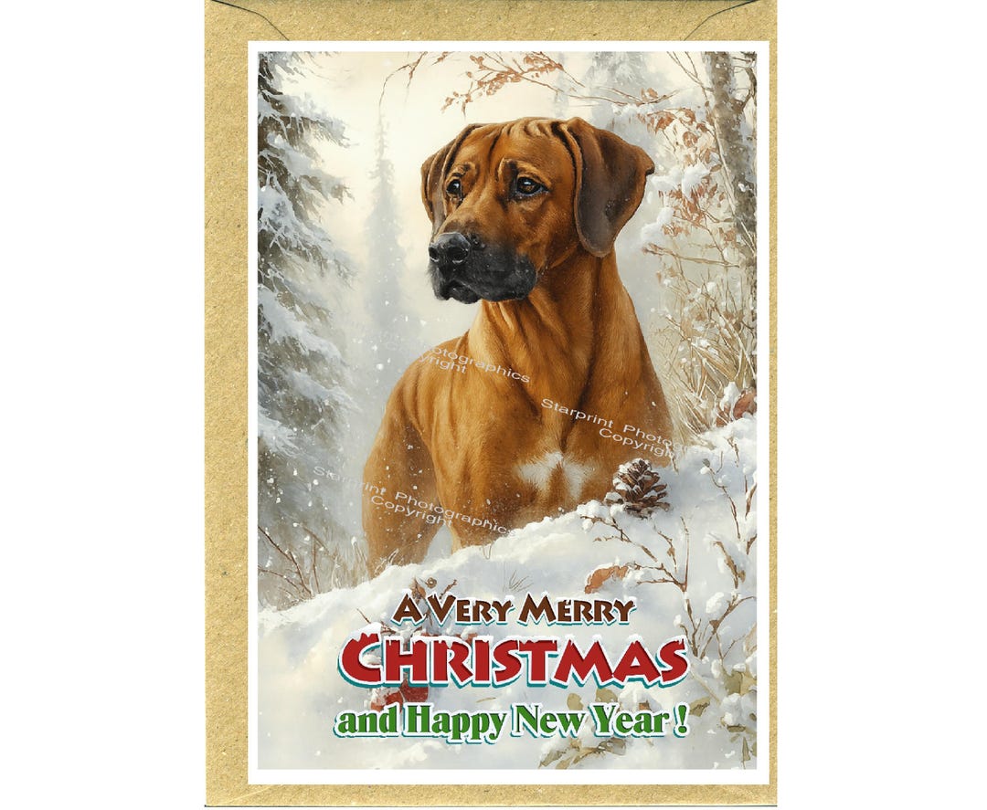 Rhodesian Ridgeback Dog Christmas Card (6