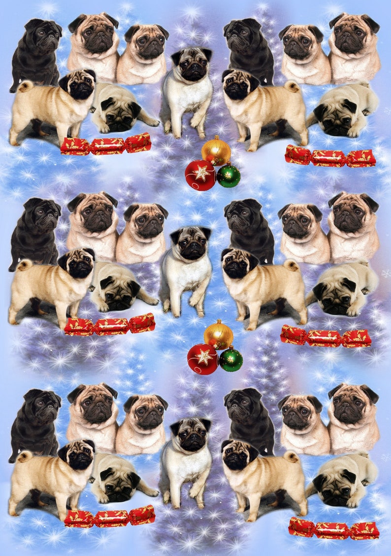 Pug Christmas Wrapping Paper 