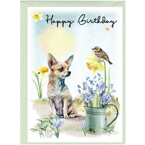Biglietto "Happy Birthday" cane Chihuahua (6"x 4") con busta. Vuoto all'interno per il tuo messaggio. Perfetto per ogni amante dei cani