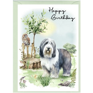 Cartão "Feliz Aniversário" de Cachorro Collie Barbudo (6" x 4") com Envelope. Em branco por dentro para sua própria mensagem. Perfeito para qualquer amante de cães
