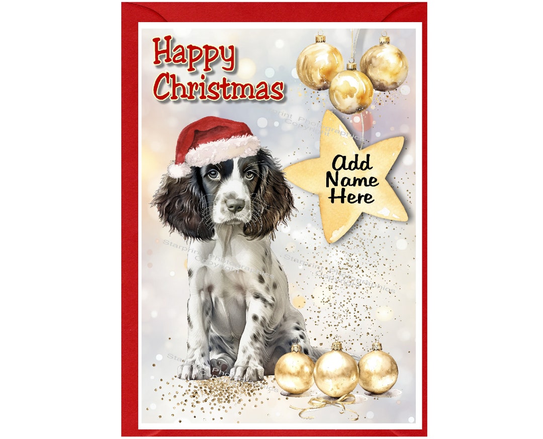 English Springer Spaniel Dog Christmas Card (6" X 4") Blank Inside ...