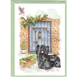 Gepersonaliseerde Skye Terrier-hondenwenskaart (6 x 4 inch) met envelop - ideaal voor elke gelegenheid. Kan desgewenst leeg worden gelaten